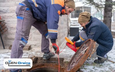 When to Call a Professional for Sewer Rodding